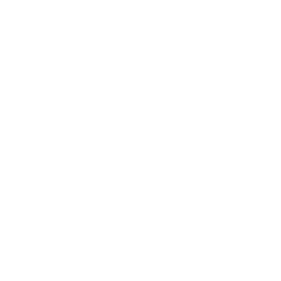 exercise exercise
