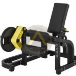 Leg Extension