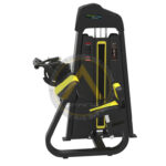 Seated Triceps Extension